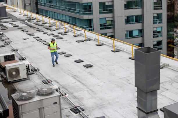 Best Chimney Flashing Repair  in Saint Johns University, MN